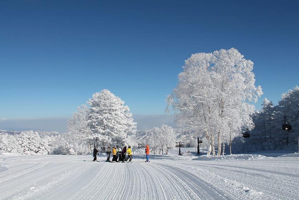 Wafu Pensión Miyazawa Nozawaonsen Exterior foto