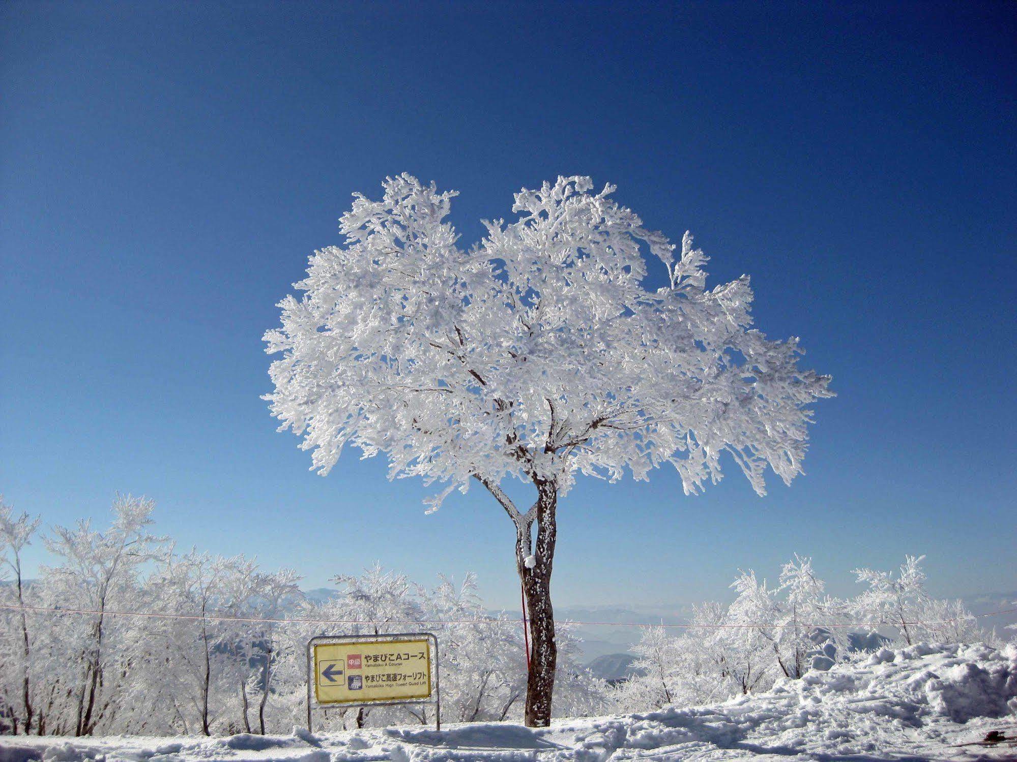 Wafu Pensión Miyazawa Nozawaonsen Exterior foto